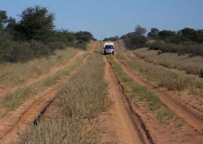 Kalahari Tours & Travel | tour operating company | guided tours | Green Kalahari | Northern Cape | South Africa | tailor-made tours | 4x4 | self drive convoy tours | Kalahari Desert | Wildlife Parks & Reserves | responsible tourism | accommodation | bed and breakfast | Upington | South Africa | Swaziland | Namibia | Botswana | Zimbabwe | Wildlife | Game viewing | South African Preditors | Cammspannen | Mazurka Waters | De Duine B&B
